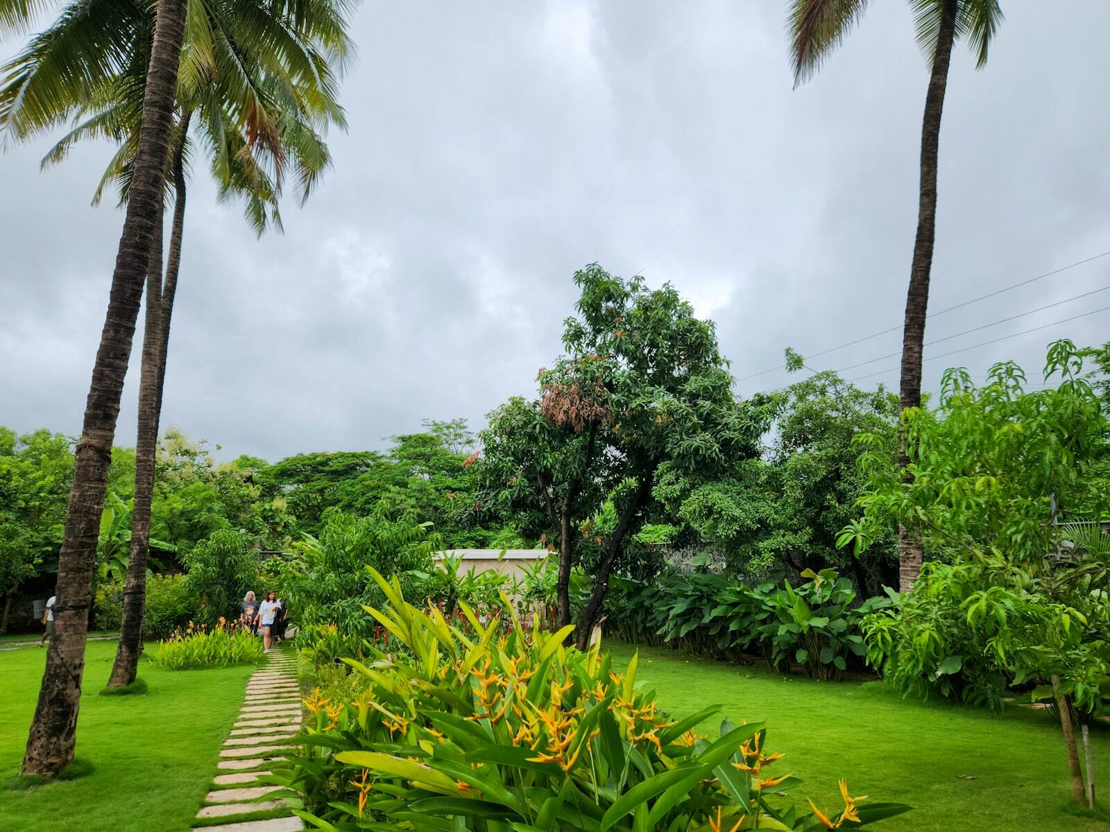 Casa Mango